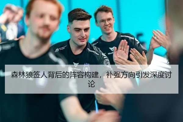 森林狼签人背后的阵容构建，补强方向引发深度讨论